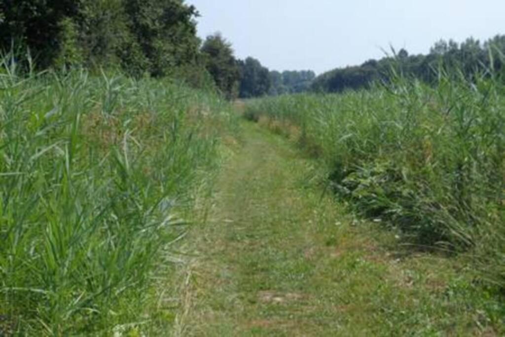 Vakantiehuis Horsterwold Zeewolde Dış mekan fotoğraf