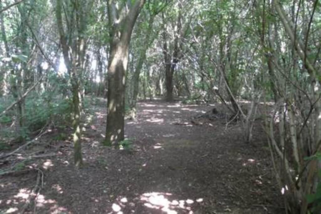 Vakantiehuis Horsterwold Zeewolde Dış mekan fotoğraf